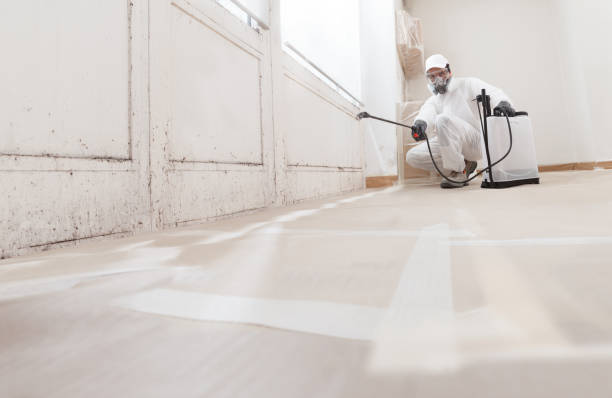 24/7 Emergency Crawl Space Mold Removal experts in Springfield, PA