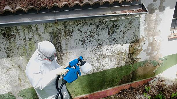 Top rated local Crawl Space Mold Removal specialists in Springfield, PA